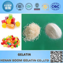 Hot selling 100 bloom knox gelatin with high quality